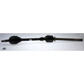 Arbre de transmission SPIDAN 24584