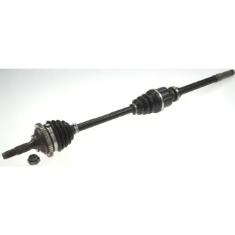 Arbre de transmission SPIDAN 25179