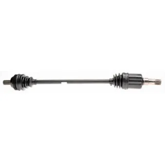 Arbre de transmission SPIDAN 25973