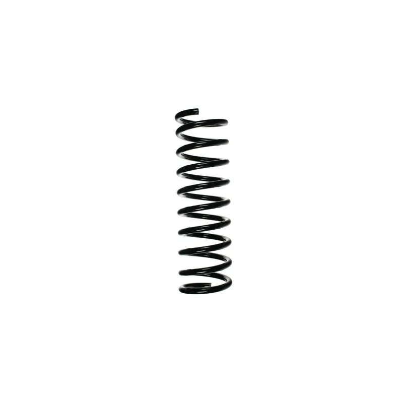 Ressort de suspension SPIDAN 48024