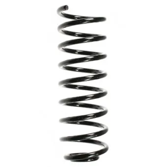Ressort de suspension SPIDAN 48028