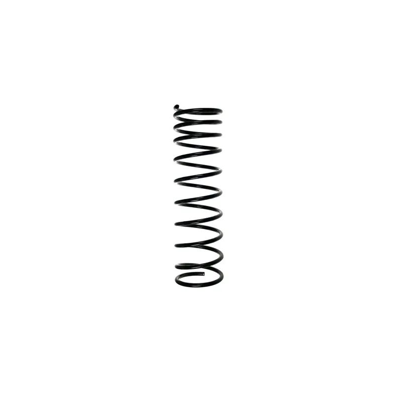 Ressort de suspension SPIDAN 48031