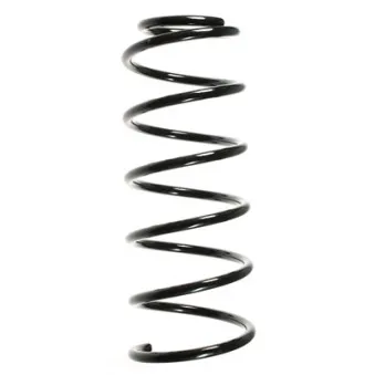 Ressort de suspension SPIDAN 48033