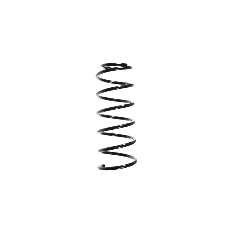 Ressort de suspension SPIDAN 48033