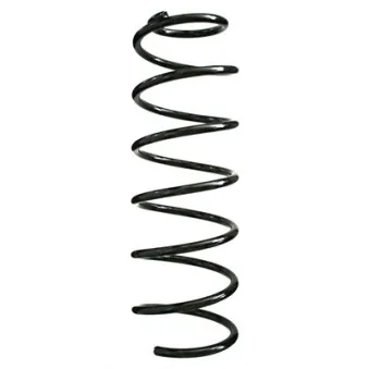 Ressort de suspension SPIDAN 48051
