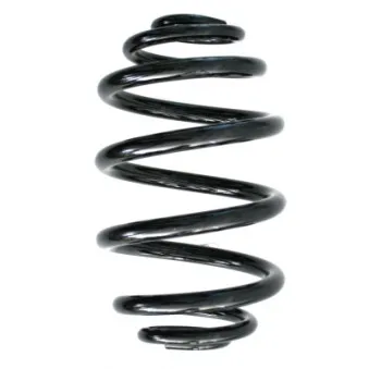 Ressort de suspension SPIDAN 48073