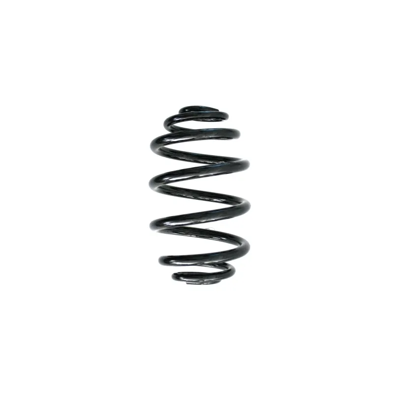 Ressort de suspension SPIDAN 48073