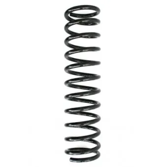 Ressort de suspension SPIDAN 48101