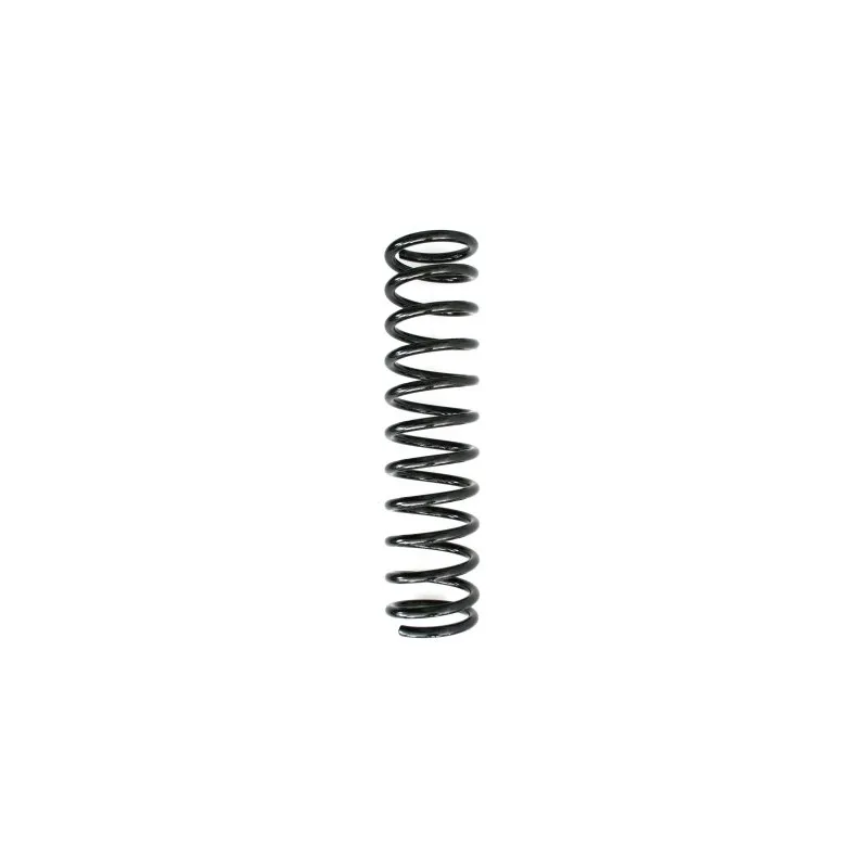 Ressort de suspension SPIDAN 48101