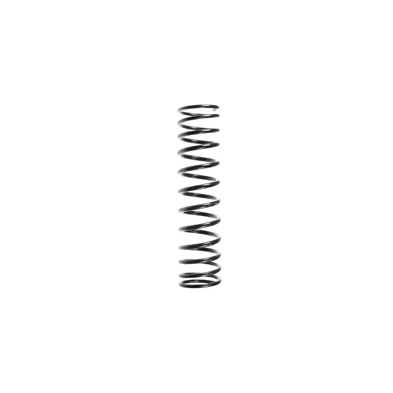 Ressort de suspension SPIDAN 48160
