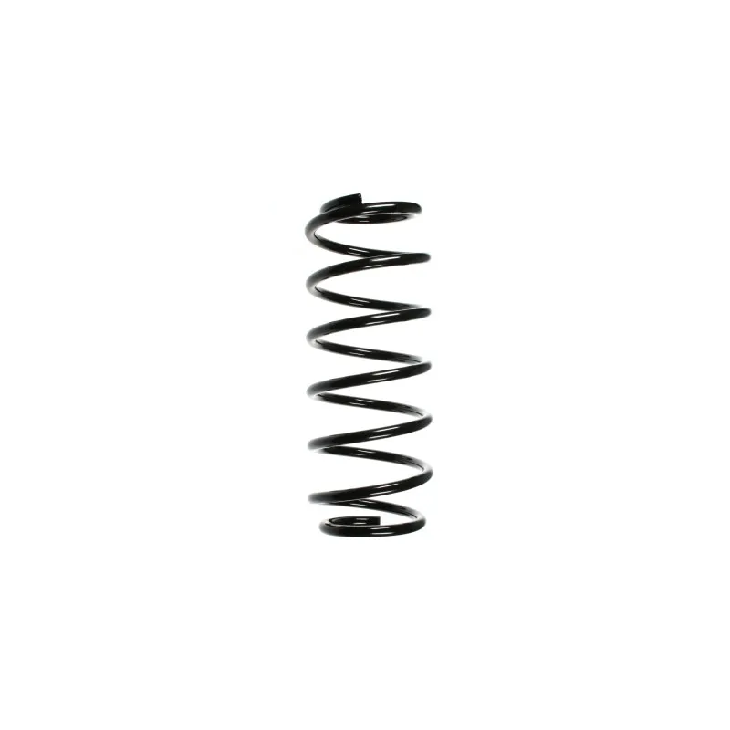 Ressort de suspension SPIDAN 48194