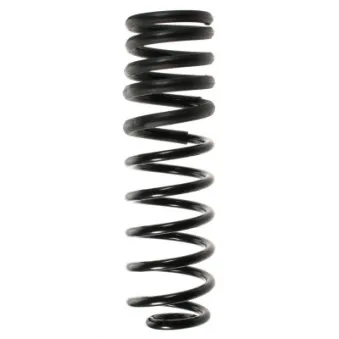 Ressort de suspension SPIDAN 48209