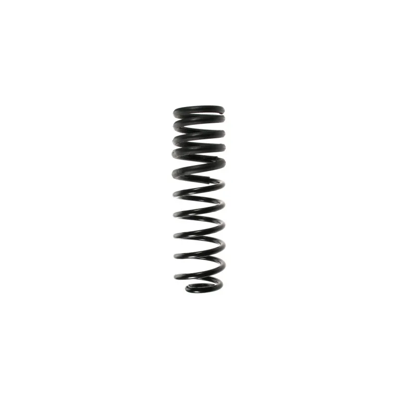 Ressort de suspension SPIDAN 48209