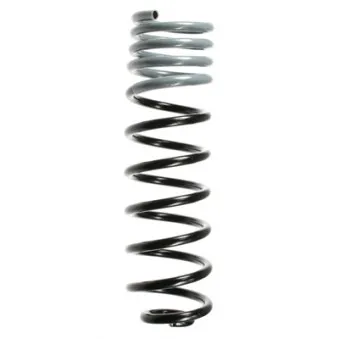 Ressort de suspension SPIDAN 48213
