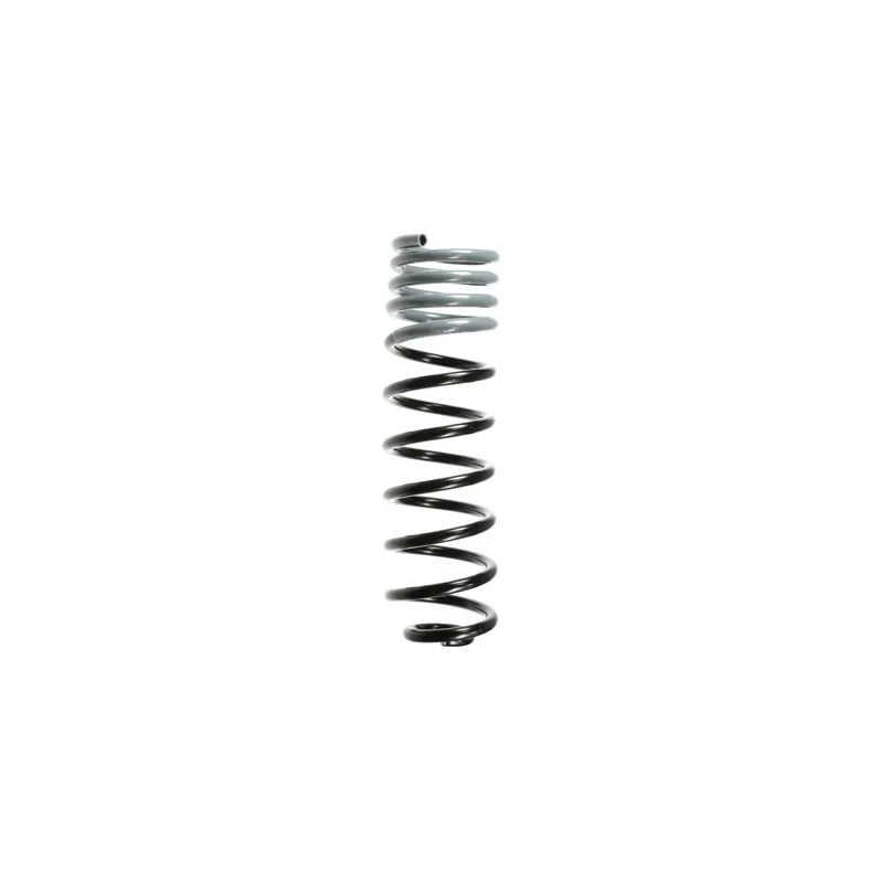 Ressort de suspension SPIDAN 48213