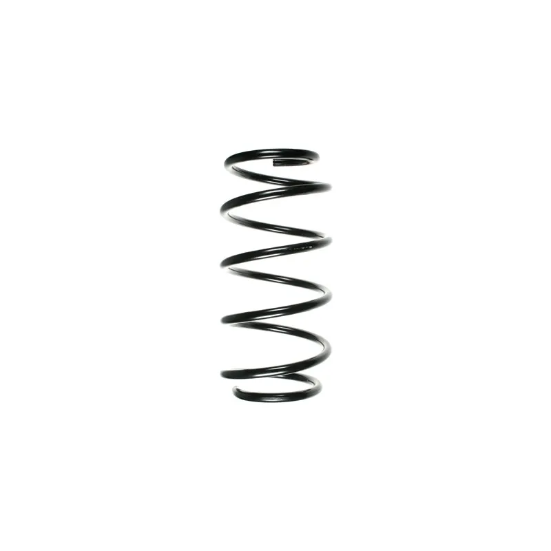 Ressort de suspension SPIDAN 48249