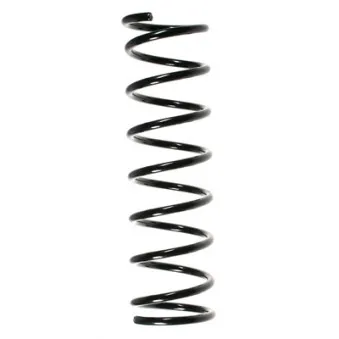 Ressort de suspension SPIDAN 48259