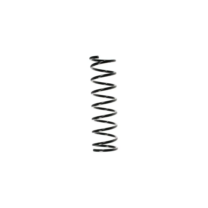 Ressort de suspension SPIDAN 48259