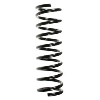 Ressort de suspension SPIDAN 48271