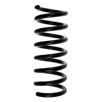 Ressort de suspension SPIDAN 48272
