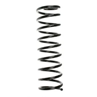 Ressort de suspension SPIDAN 48273
