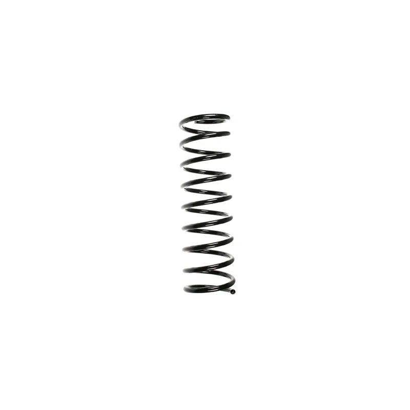 Ressort de suspension SPIDAN 48273