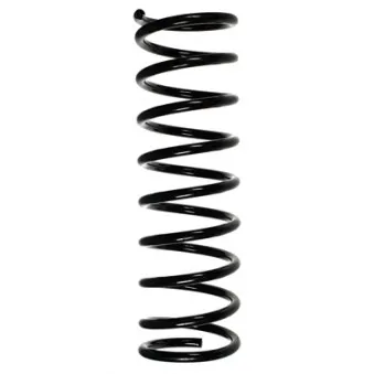 Ressort de suspension SPIDAN 48275