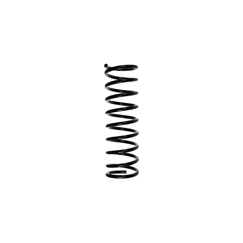 Ressort de suspension SPIDAN 48275