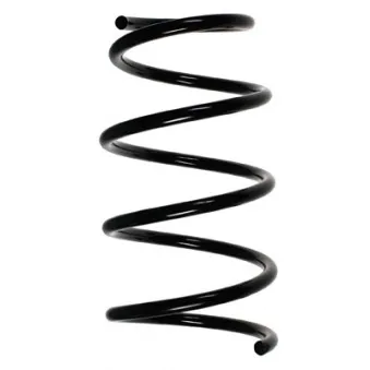 Ressort de suspension SPIDAN 48279