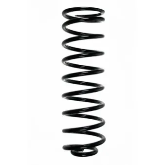Ressort de suspension SPIDAN 48337