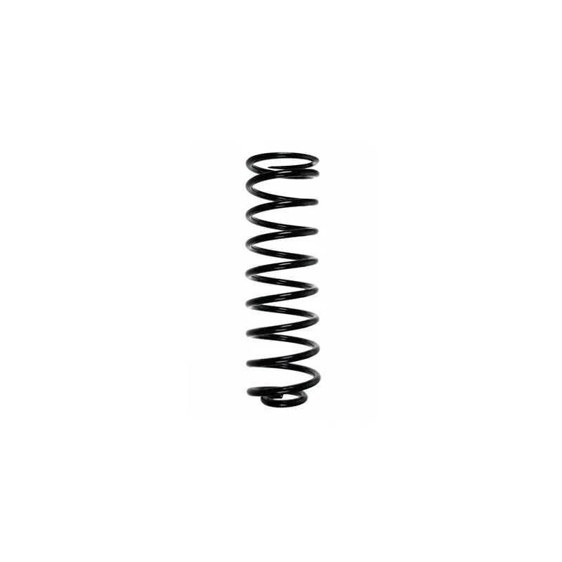 Ressort de suspension SPIDAN 48337