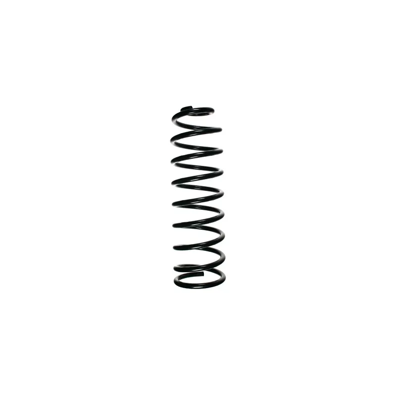 Ressort de suspension SPIDAN 48339