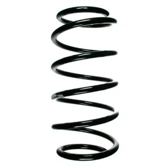 Ressort de suspension SPIDAN 48373