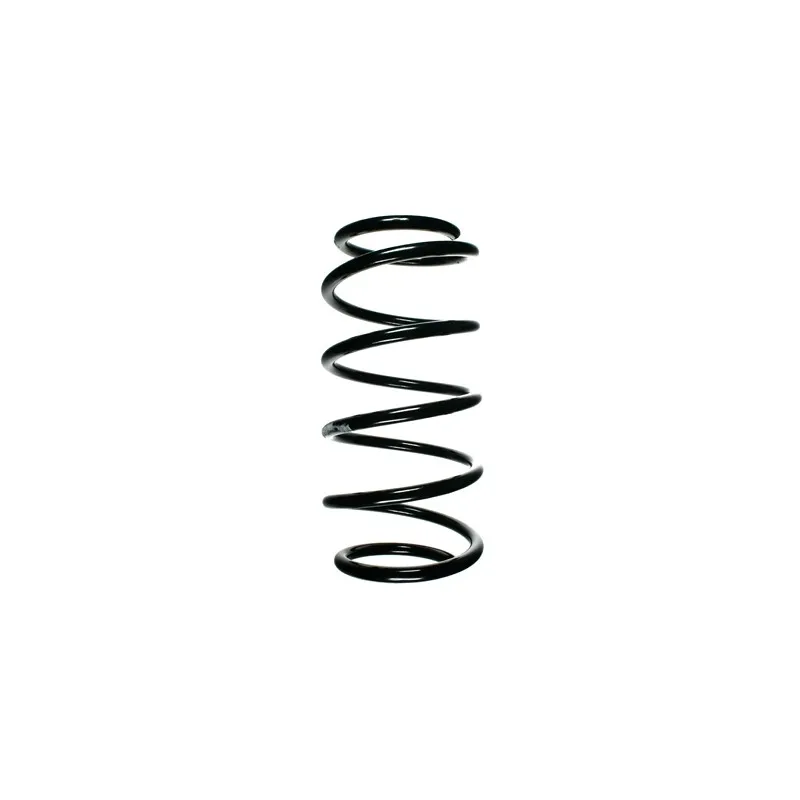 Ressort de suspension SPIDAN 48373