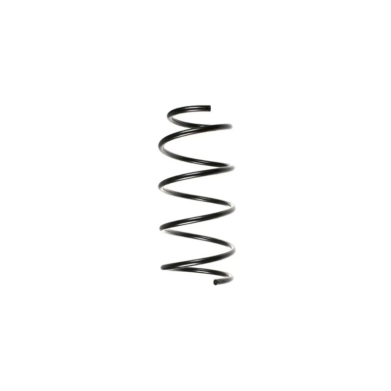Ressort de suspension SPIDAN 48454