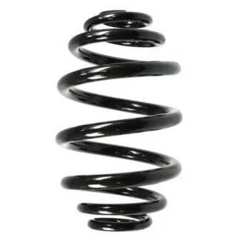 Ressort de suspension SPIDAN 48456