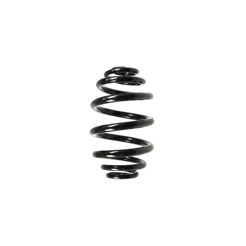Ressort de suspension SPIDAN 48456