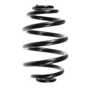 Ressort de suspension SPIDAN 48457