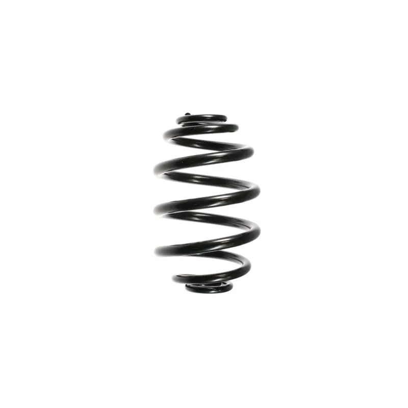 Ressort de suspension SPIDAN 48457