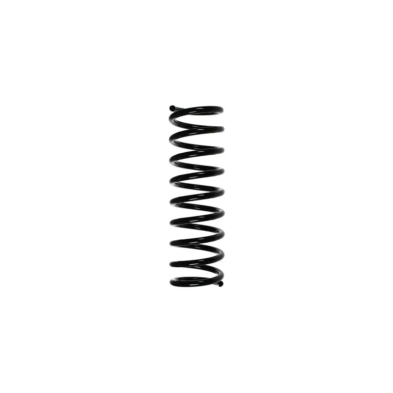 Ressort de suspension SPIDAN 48461