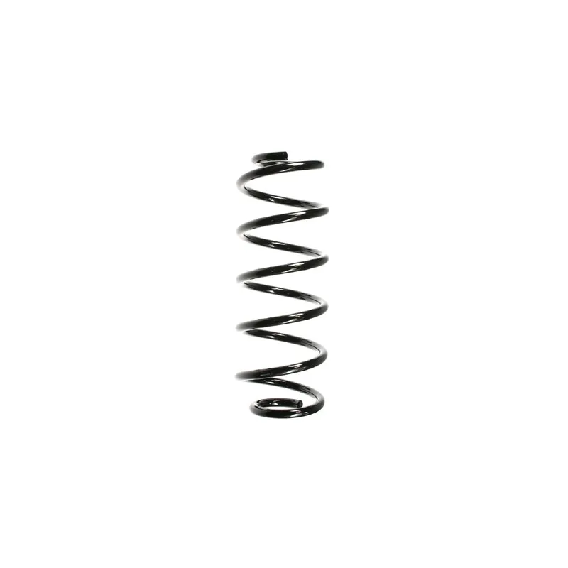 Ressort de suspension SPIDAN 48472