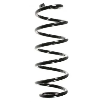 Ressort de suspension SPIDAN 48475