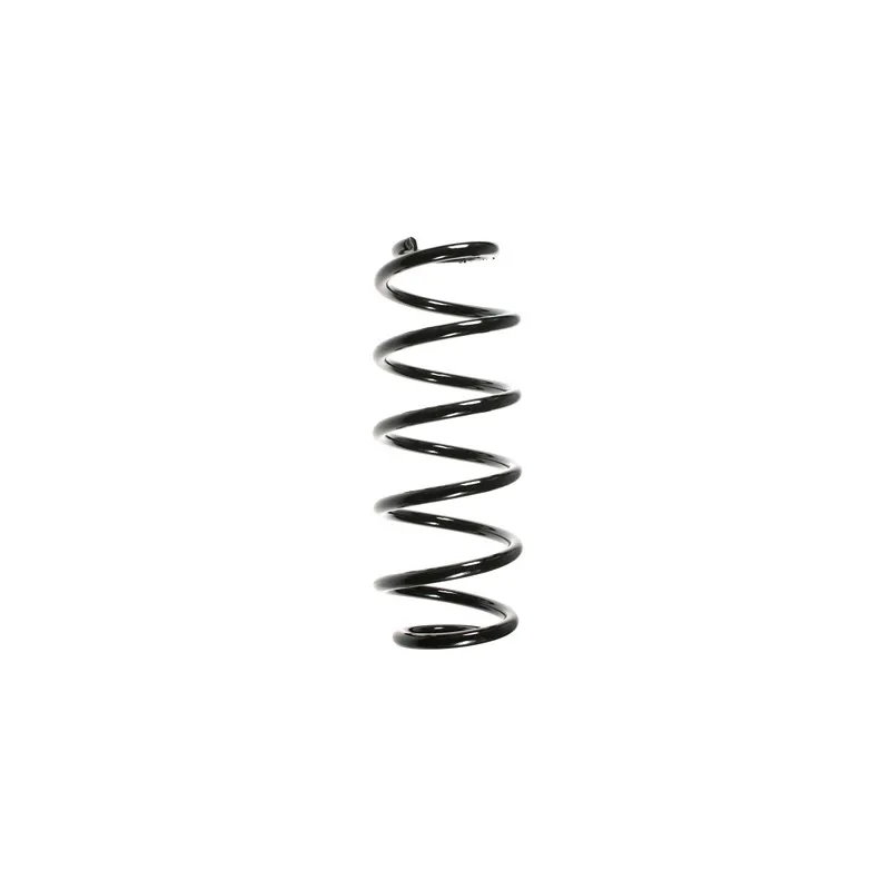Ressort de suspension SPIDAN 48475