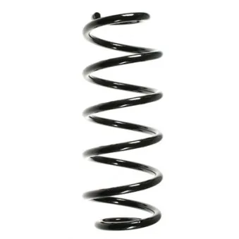 Ressort de suspension SPIDAN 48476