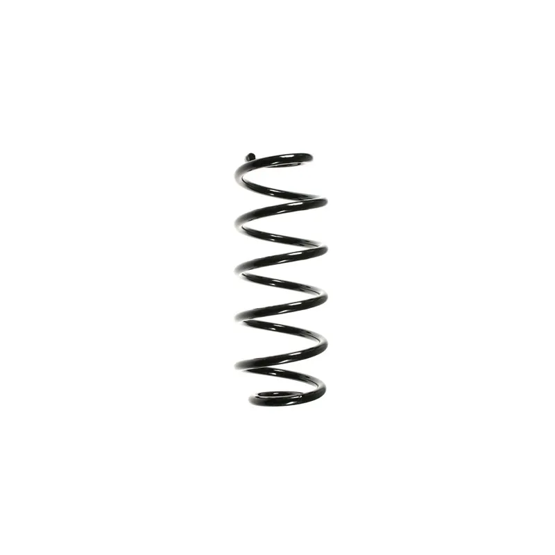 Ressort de suspension SPIDAN 48476