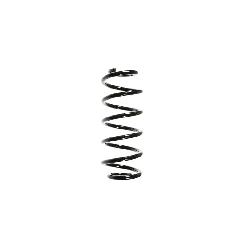 Ressort de suspension SPIDAN 48477