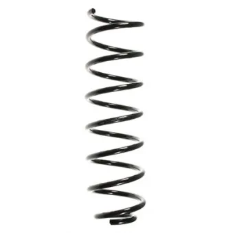Ressort de suspension SPIDAN 48479