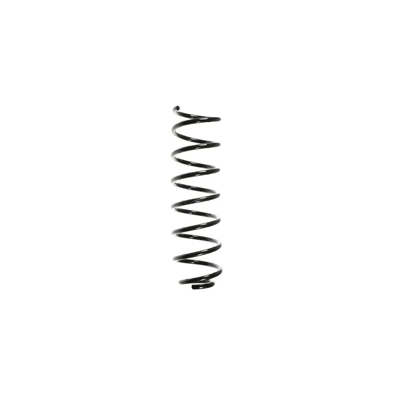 Ressort de suspension SPIDAN 48479