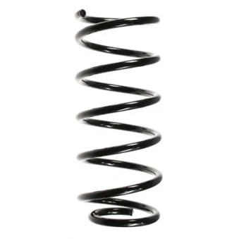 Ressort de suspension SPIDAN 48485