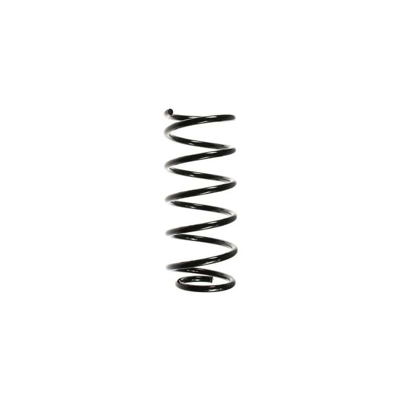 Ressort de suspension SPIDAN 48485
